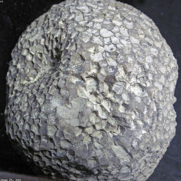 Dyson V15 Detect Vacuum